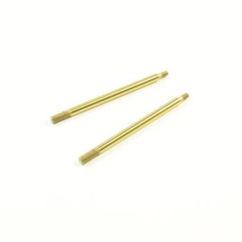 SWORKz Kolbenstange (S) Teflon Coated Long Wear BBS System (2)